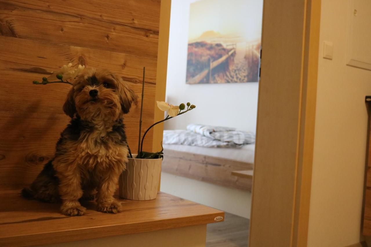 Zirben Diamant Rooms & Dogs Obdach Exterior photo
